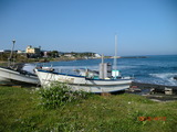 7fb61a73.jpg