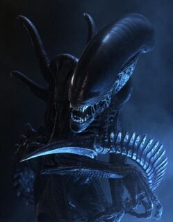 Xenomorph_Drone