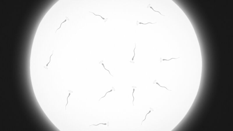 1584205820383 (1)