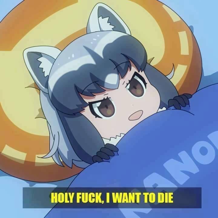 1558049955250
