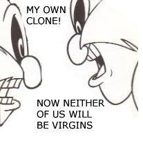 1586026205411