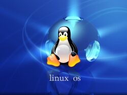 linux-os (1)