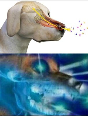 1646178614507