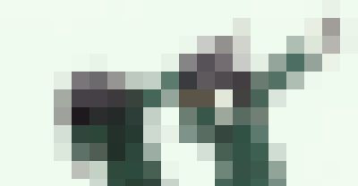 1616238764349