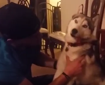 5b7f7bb8479e5fef069d048aa8945061