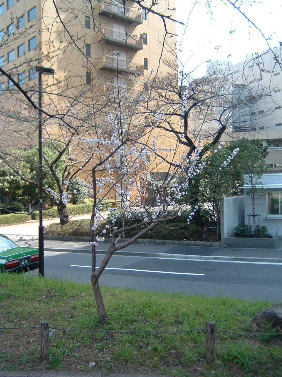第八回 江戸城の地図 巨大土木工事だった天下普請 飯田橋から四谷 江戸城外堀に残る見附 枡形の跡を訪ねる その２ Nabe3と江戸城を歩く ヴィジュアル版 江戸城を歩く
