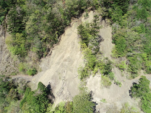DJI_0031