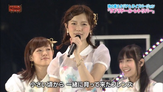 味スタ_ラブラドールレトリバー14