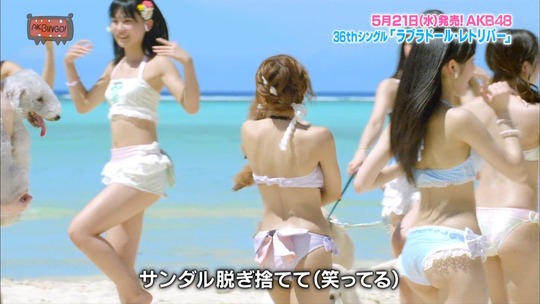 ラブラドール・レトリバー24