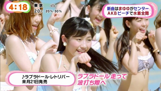 ラブラドールレトリバーMV4