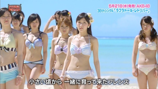 ラブラドール・レトリバー19