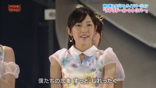 味スタ_ラブラドールレトリバー12