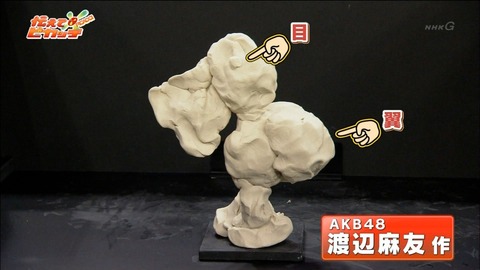 伝えてピカッチ渡辺麻友48