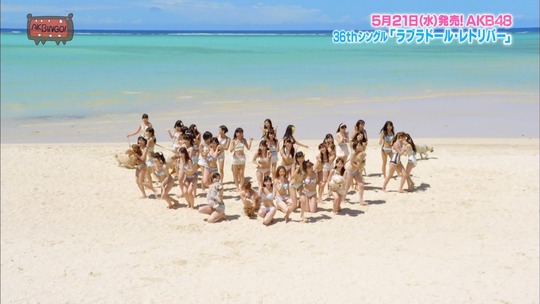 ラブラドール・レトリバー25