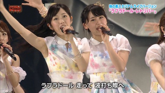 味スタ_ラブラドールレトリバー9