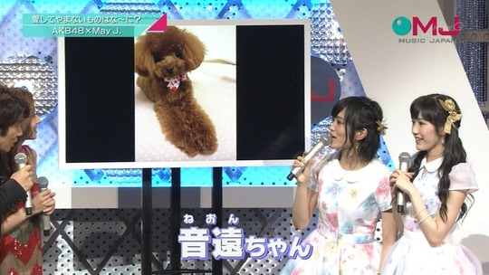 愛の存在0035500891a