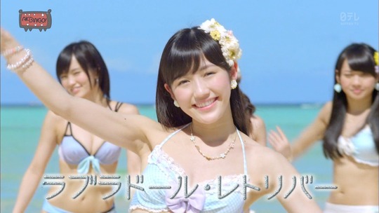 ラブラドール・レトリバー1