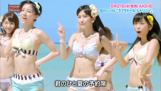 ラブラドール・レトリバー7