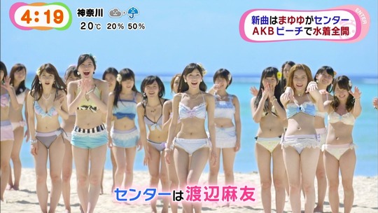 ラブラドールレトリバーMV7