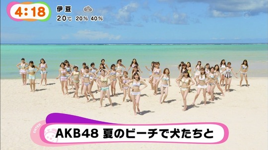 ラブラドールレトリバーMV3