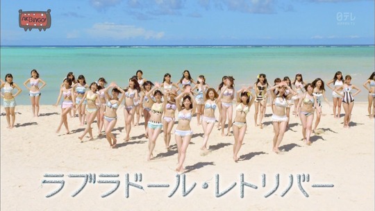 ラブラドール・レトリバー3