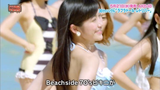 ラブラドール・レトリバー11