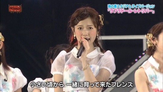 味スタ_ラブラドールレトリバー15