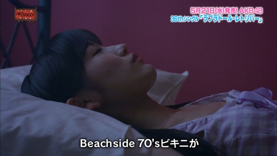 ラブラドール・レトリバー12