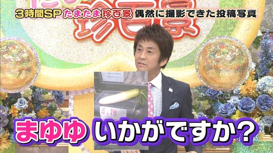 ナニコレ珍百系_渡辺麻友29