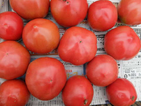 DSCF0420
