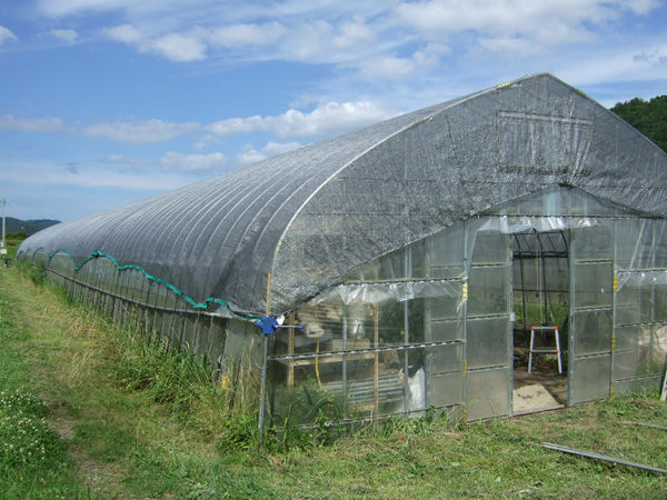ビニールハウスに遮光ネット 有機栽培で産地直送 わたなべ農園の健康野菜ブログ