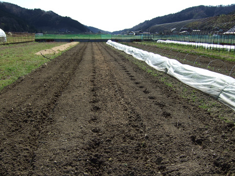 DSCF0872