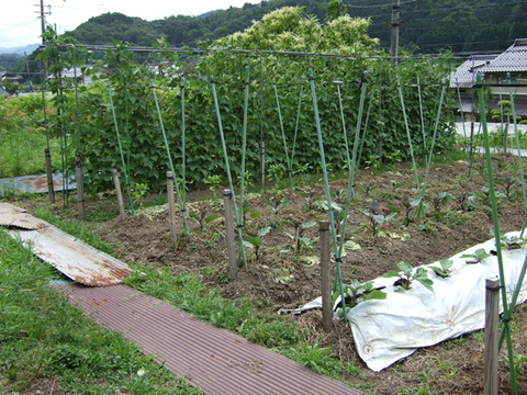DSCF2847