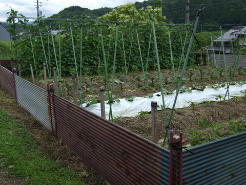 DSCF2850