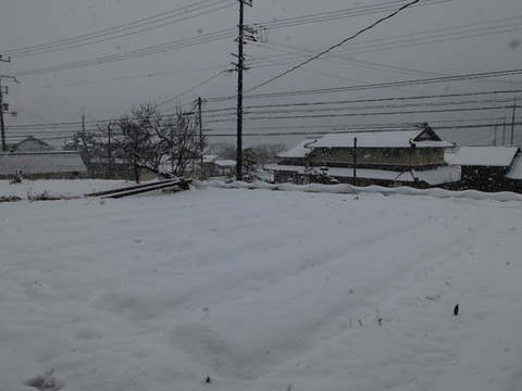 DSCF0596