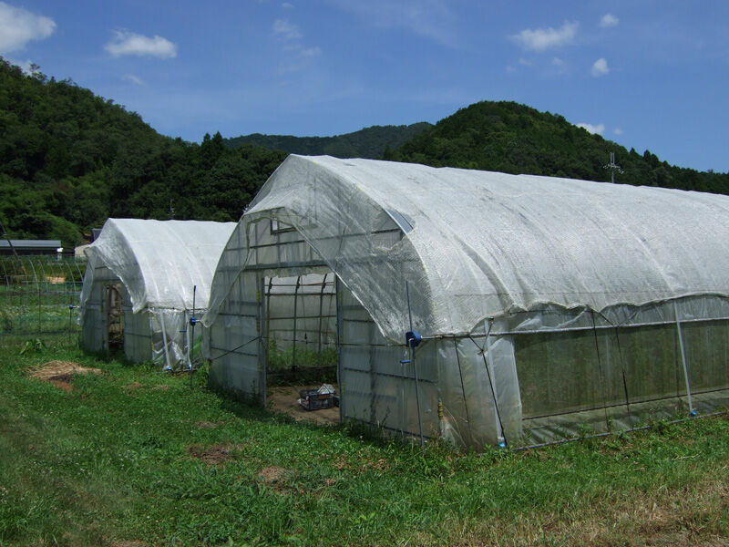 今年もビニールハウスに遮光ネットをかけました 有機栽培で産地直送 わたなべ農園の健康野菜ブログ