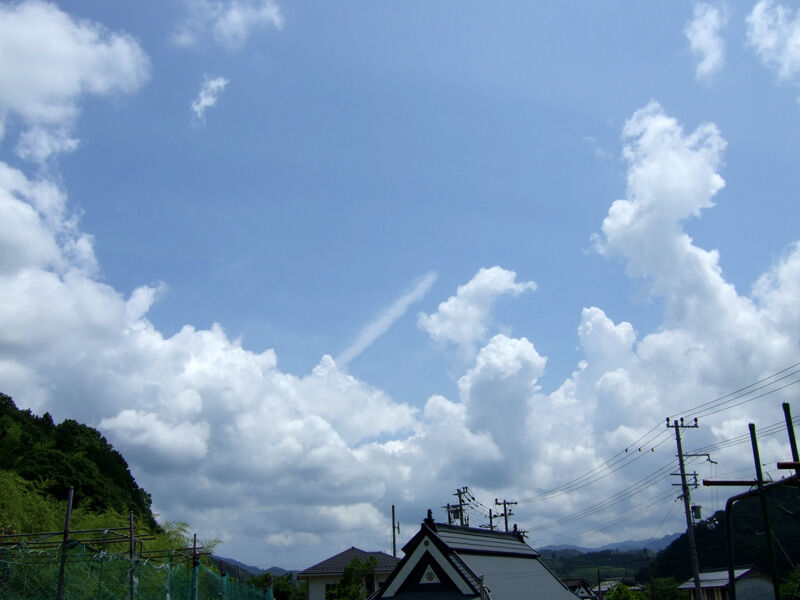 トマトと龍神雲 有機栽培で産地直送 わたなべ農園の健康野菜ブログ