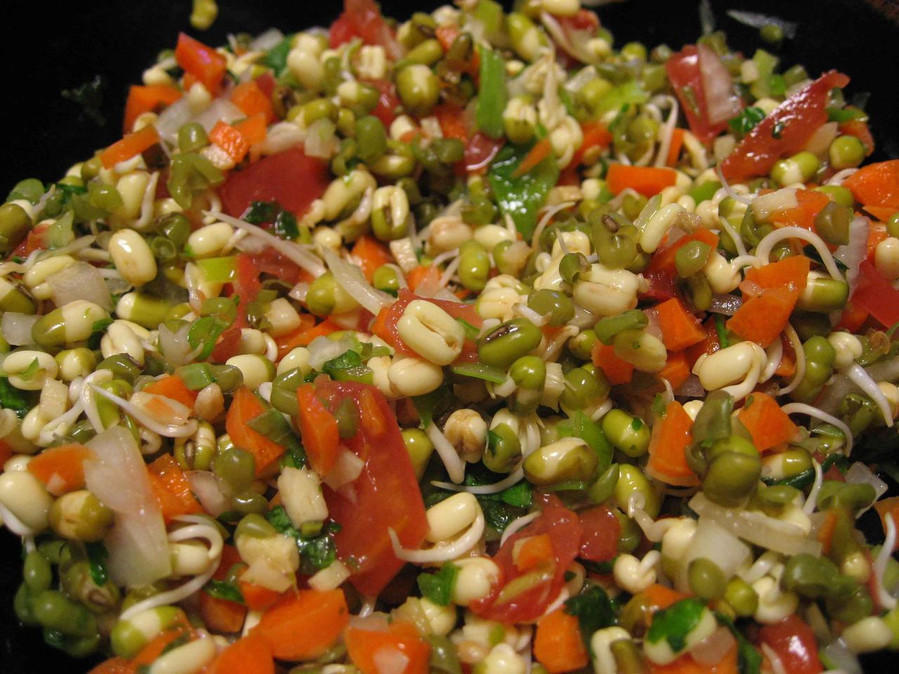 ムング スプラウトのサラダ 緑豆もやし カレー スパイス伝道師ブログ 2