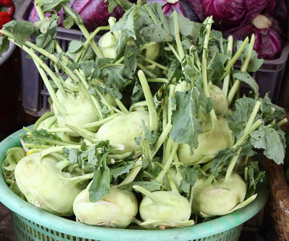 インド料理に使える野菜満載のベトナム ダラットの市場 カレー スパイス伝道師ブログ 2 インド料理に使える野菜満載のベトナム ダラットの市場 カレー スパイス伝道師ブログ 2