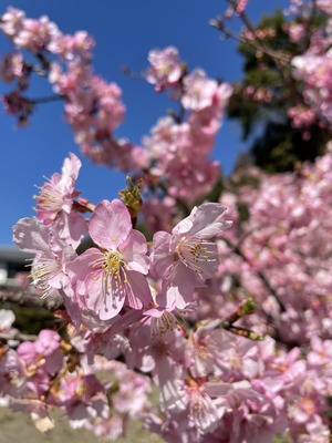 906DF515-803C-489B-8365-9829A640D607