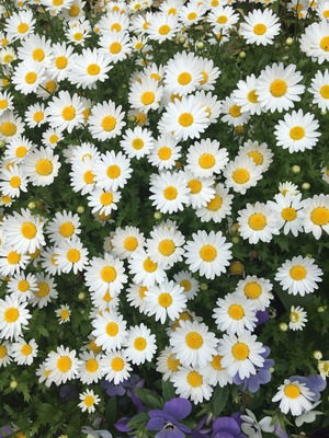 F17B876B-C29D-495B-AA67-1BB8A6DECA54