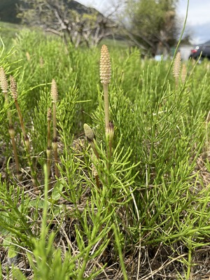 1870B8D0-6247-4DB4-86C1-72C26F48F909