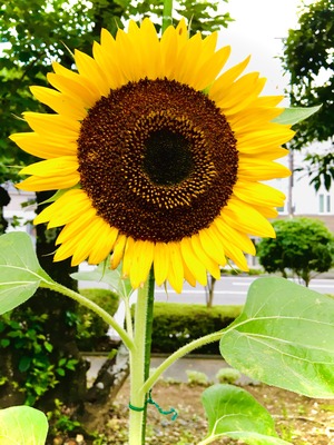 1FC158A6-E55C-4890-9847-5CF6FF963052