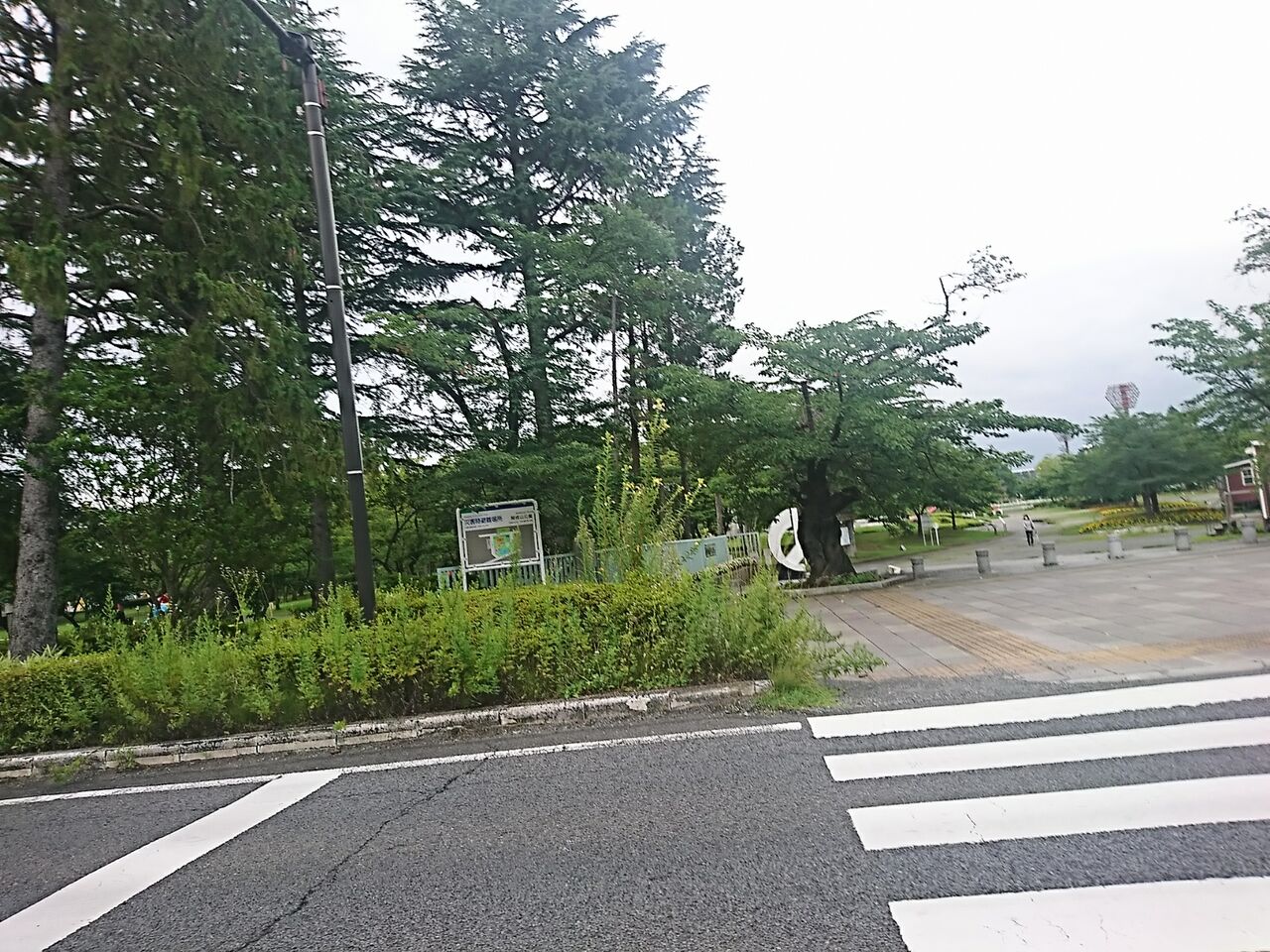 しゃぶしゃぶ 温 野菜 郡山 郡山市しゃぶしゃぶ温野菜新さくら通り店の場所がどこかの地図 Amp Petmd Com しゃぶしゃぶ 温 野菜 郡山 郡山市しゃぶしゃぶ温野菜新さくら通り店の場所がどこかの地図 Amp Petmd Com