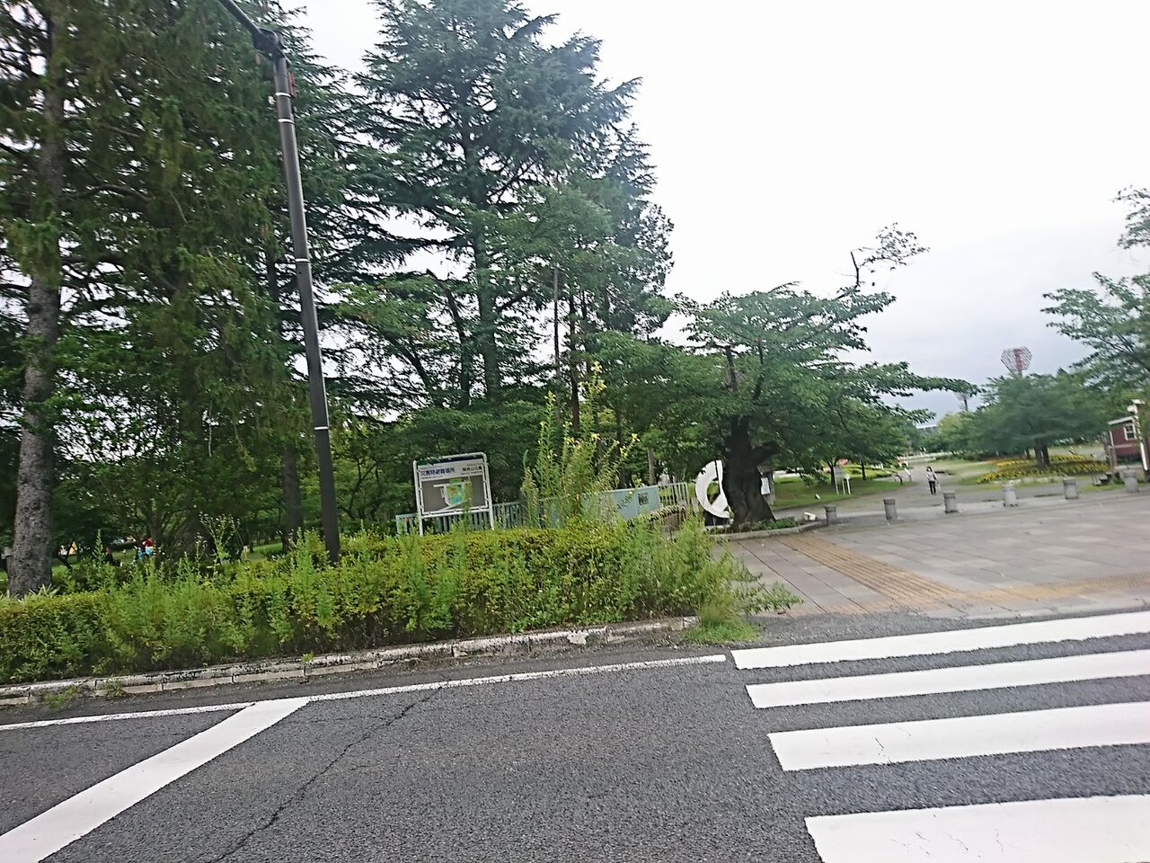 しゃぶしゃぶ 温 野菜 郡山 郡山市しゃぶしゃぶ温野菜新さくら通り店の場所がどこかの地図 Amp Petmd Com