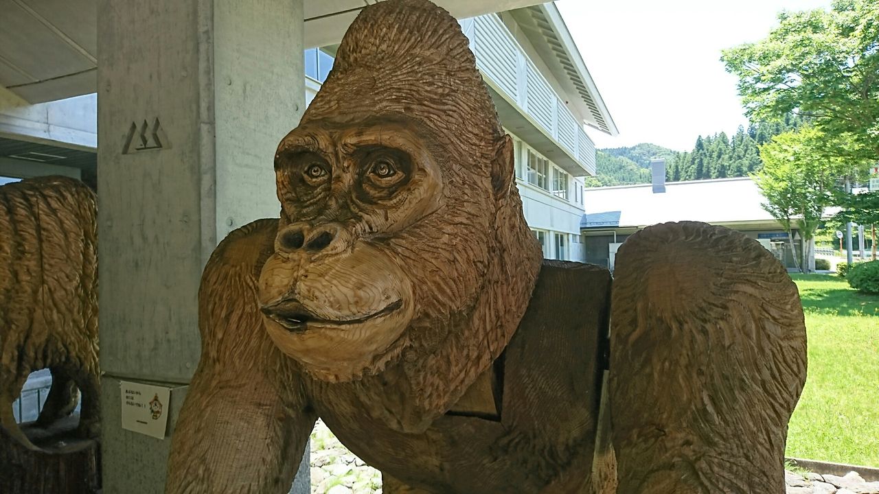 ギョッ 巨大なキングコングだ ゴリラだ 迫力満点 ビックリポンだあ 福島県古殿町役場行って来ました 富山のくすり屋さんの旅日記 ギョッ 巨大なキングコングだ ゴリラだ 迫力満点 ビックリポンだあ 福島県古殿町役場行って来ました 富山のくすり屋さんの旅日記