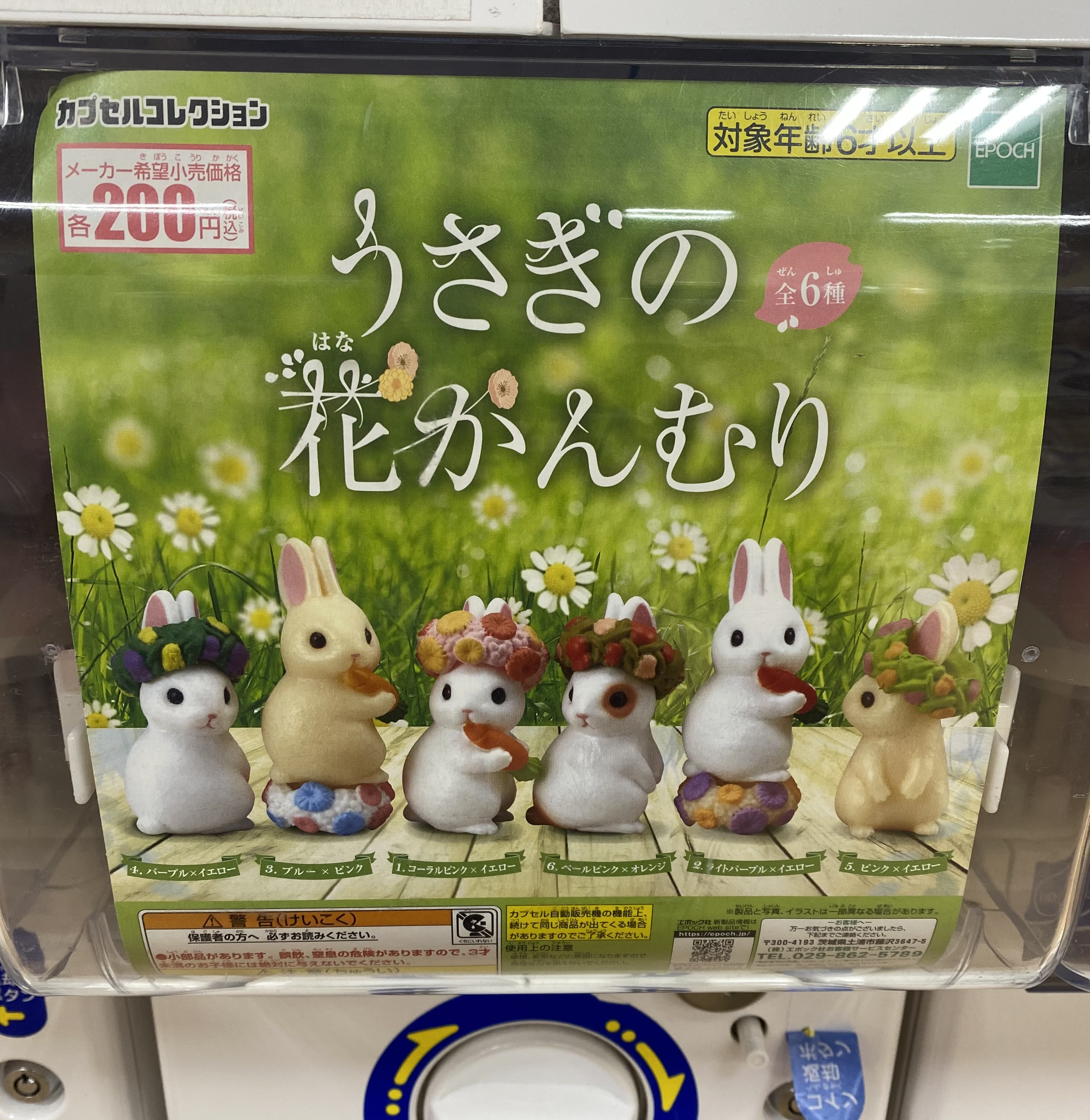 シンデレラの新譜2つを買ってきたよ あとうさぎのガチャって話 卒業できないオタクの日常 シンデレラの新譜2つを買ってきたよ あとうさぎのガチャって話 卒業できないオタクの日常