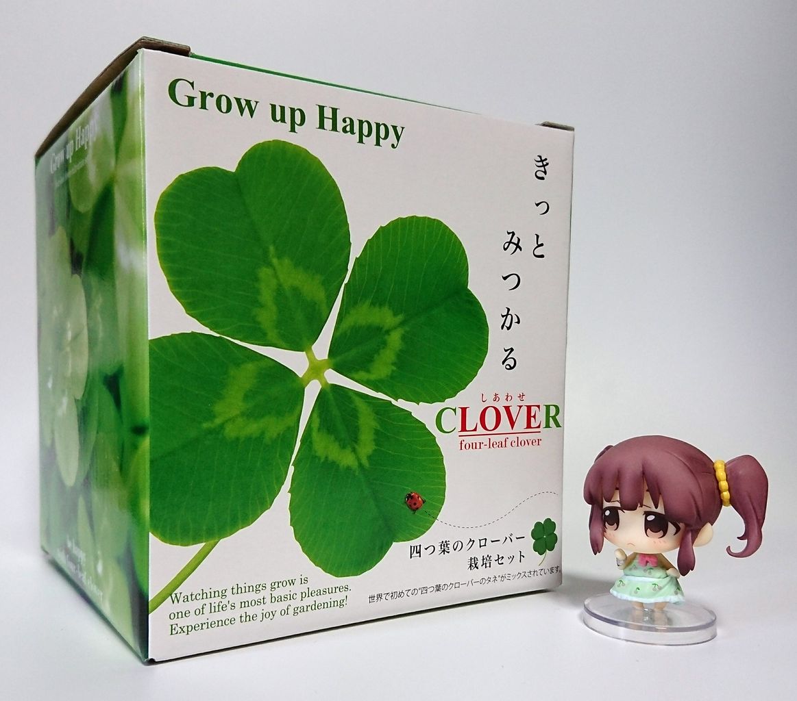 クローバーの栽培セットを買って育て始めたよって話 卒業できないオタクの日常