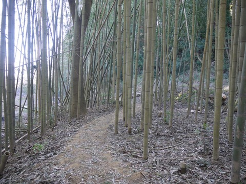 image_02