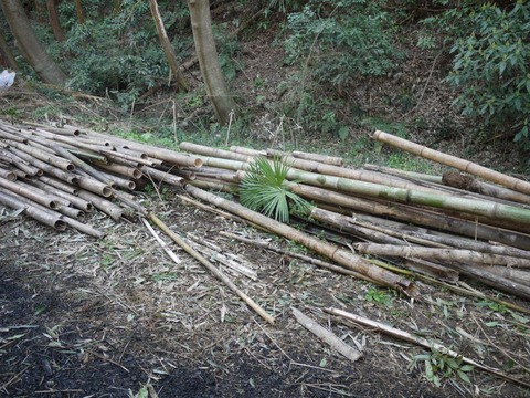 image_09